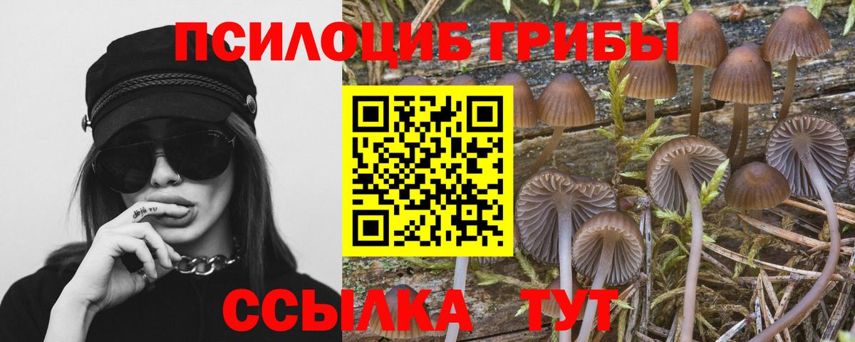 Псилоцибиновые грибы GOLDEN TEACHER  Вход с VPN  Лосино-Петровский 