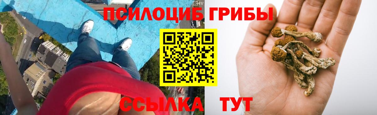 Псилоцибиновые грибы Psilocybine cubensis Лосино-Петровский